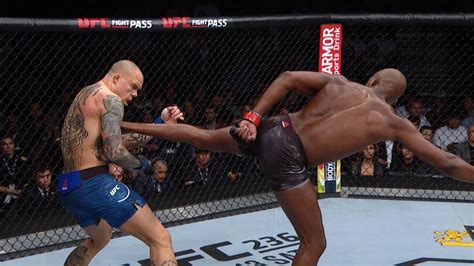 mma fight videos.